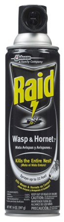 Raid Wasp & Hornet Killer 33 Spray, 14-Ounce