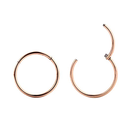 FANSING 316l Surgical Steel Hinged Nose Rings Hoop 20G 18G 16G 14G 12G 10G, Diameter 5mm to 16mm, Color Gold - Rose Gold - Silver - Black - Rainbow