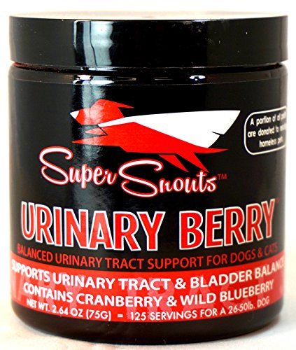 Super Snouts URINARY BERRY Urinary Tract Support 2.64oz Jar w/Scoop