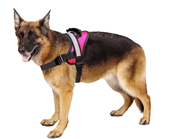 Big Dog Soft Reflective No Pull Harness