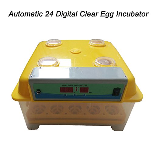 Automatic 24 Digital Clear Egg Incubator Hatcher Egg Turning Temperature Control 80W US Plug