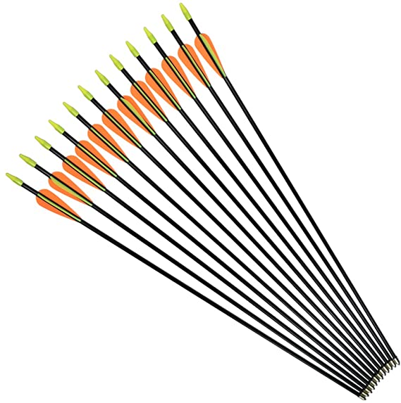 NIKA ARCHERY Fiberglass Arrows for Youth Practise Recurvebow Compound Bow Shooting 12 pcs/lot