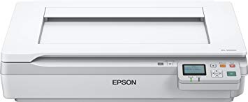 EPSON 408693 - Desk Photo Scanner cáner fotográfico A3 size