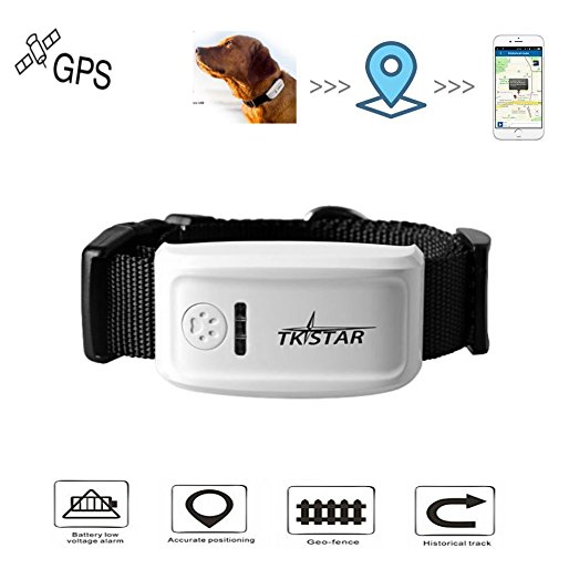 TKSTAR Anti-lost GPS Dog Pet Finder Dog Collar Locator Smart Pet GPS Tracker Remote Tracker GSM/GPRS/GPS Long Standby Tracking - Real Time Alerts (Black Collar)