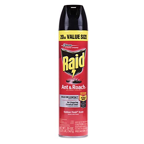 Raid Ant & Roach Killer 26, Outdoor Fresh Scent, 20 oz