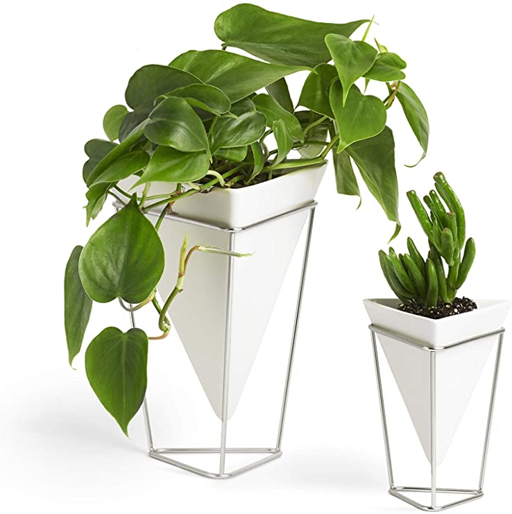 Umbra Trigg Desktop Planter Vase & Geometric Container-for Succulent, Air, Mini Cactus, Faux Plants Ceramic (Set of 2), Desk, White/Nickel