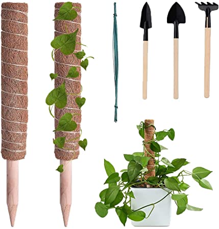 EOS 2 PCS 16 Inches / 41 Cm Coir Totem Moss Pole for Monstera and Cheese Plants - Coco Coir Sticks for Indoor Climbing Plants Support with 10 Cable Ties and Mini Gardening Tools Set