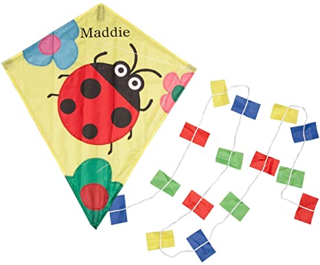 Miles Kimball Personalized Children’s Ladybug Kite, Colorful Kite with Custom Name for Kids
