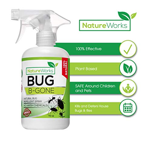 Bug-B-Gone- Home Defense I Natural Indoor & Patio Pest Control Spray I FDA & EPA Approved I Child & Pet Friendly I Kills Repeals Deters I Ant Roach Termite Mosquito & Fly’s Spider Silverfish Centipede