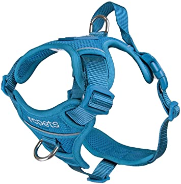 RC Pet Products Momentum Dog Harness, Small, Dark Teal