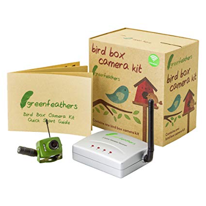 Green Feathers Wireless Bird Box Camera with Night Vision, Wireless Receiver, 10m Extension Cable, 700TVL Video and Audio - Perfect for your Garden, Nest Boxes, Bird Houses, Green Camera, Wide Angle Lens, Audio, 940nm Infrared
