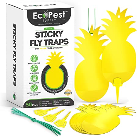 Yellow Sticky Traps - 50 Pack | Yellow Fly Paper Trap and Gnat Sticky Traps for Fruit Flies, Fungus Gnat, and Other Insects | Gnat Trap, Fly Strips, and Fly Tape