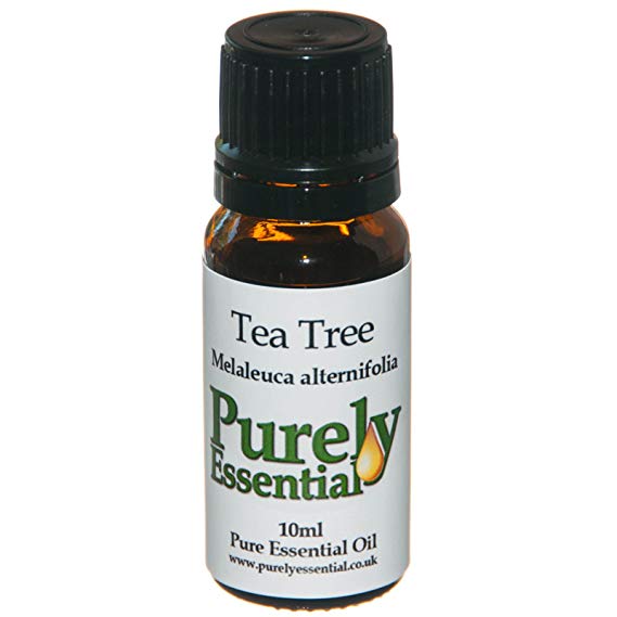 Purely Essential Tea Tree Oil (Melaleuca alternifolia) 10ml
