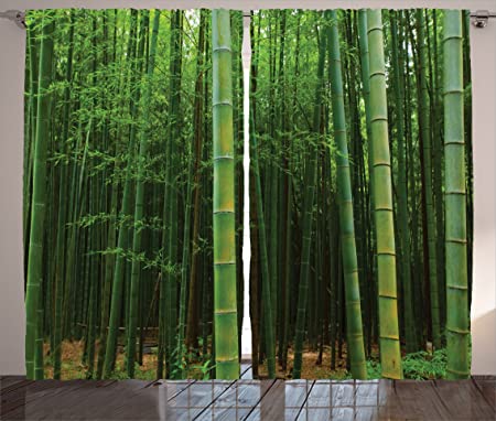 Ambesonne Bamboo Curtains, Picture of a Bamboo Forest Exotic Fresh Jungle Vision with Tall Shoots Tropic Art Print, Living Room Bedroom Window Drapes 2 Panel Set, 108" X 84", Green