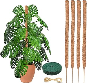 EcoNour Moss Pole for Plants – 25 inches (4 Pack) | Monstera Plant Support for Plant Climbing and Growth | Elevate Your Indoor Garden, Plant Support for Indoor Potted Plants to Grow Upwards