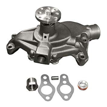 ACDelco 252-581 Professional Water Pump Kit