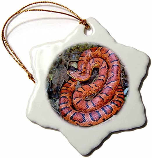 3dRose Corn Snake Snowflake Porcelain Ornament, 3-Inch