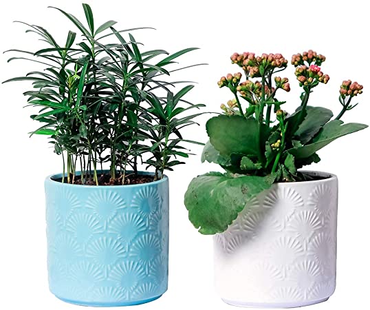 YXMYH White and Blue Ceramic Flower Pot Garden Planters 5.3" Pack 2 Indoor Plant Containers with Drainage Hole and Protective Pad - Succulent Planter Pots