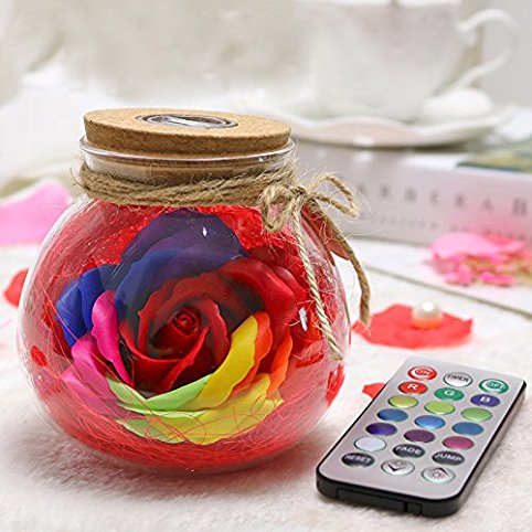 Remote Control LED RGB Dimmer Lamp Creative Romantic Rose Bottle Light Color Changing£¨Blue£