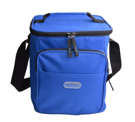 GreEco Cooler Bag, Lunch Box Bag, Insulated Picnic Bag, Camping Cooler, Trunk Cooler, Many Size & Colors Available