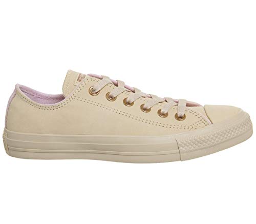 Converse Unisex-Adult Chuck Taylor All Star Core Ox Trainers