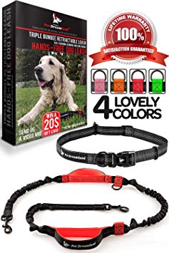 Pet Dreamland Hands Free Leash - For One/Two Medium to Large Dogs (up to 150lbs) - Running/Hiking/Dog Training - Heavy Duty Extra Long Bungee Lead - Waist Leashes for Dogs (One Dog, Black & Red)