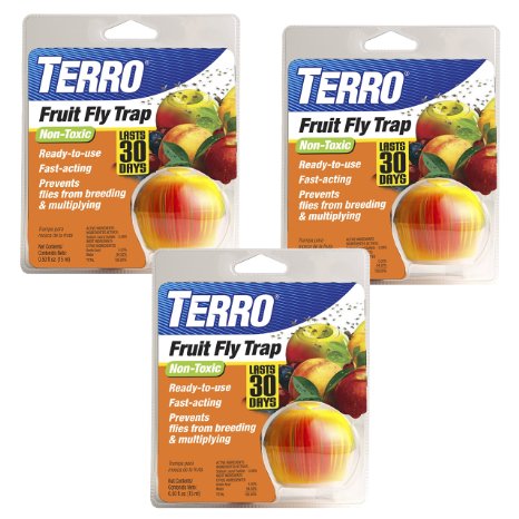 TERRO Fruit Fly Trap (Pack of 3)