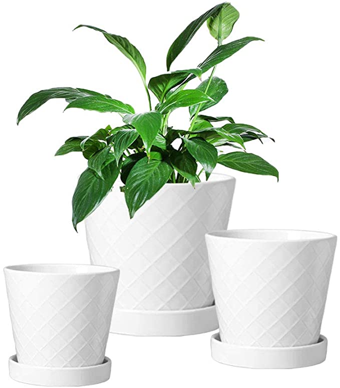 Flower Pots - 4 5 6 inch Ceramic Flower Pot with Drainage Holes and Ceramic Tray - Gardening Home Desktop Office Windowsill Decoration Gift Set 3 - Plants NOT Included (White)