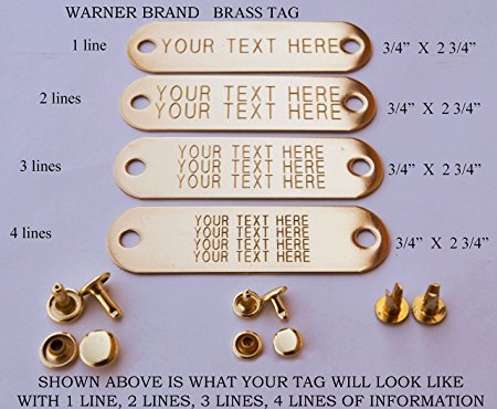 Warner Brand Brass (gold) Tag (1) for Dog Collar with 3-Sets of rivets Pet ID Plate, ID tag