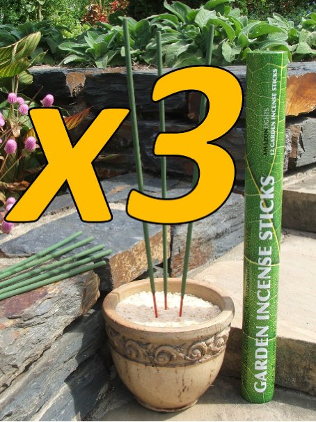 Amazon Lights All-Natural Premium Citronella Outdoor Garden Incense Sticks with 2.5 - 3.0 Hours Burn Time (3 pack)