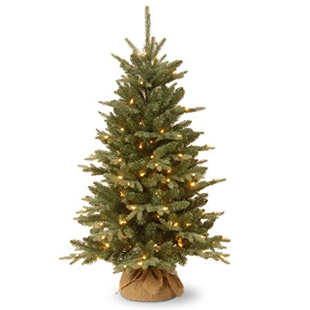 National Tree 4 Foot Burlap Tree with 150 Clear Lights (ED3-300-40)