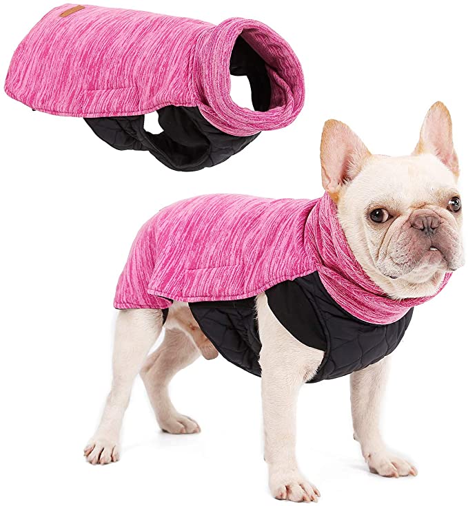 Rantow Reversible Dog Coat | Hair Free Pet Winter Vest | Loft Jacket for Small Medium Large Dogs | Windproof Snowsuit Cold Weather Pets Apparel - Available for Collar Harness D Ring (XS, Pink)