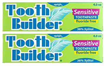 Squigle Tooth Builder Toothpaste (Stops Tooth Sensitivity. Prevents Canker Sores, Mouth Ulcers, Bad Breath,Chapped Lips, Perioral Dermatitis. Soothes and Protects Dry Mouths. No SLS.) - 2 Pack