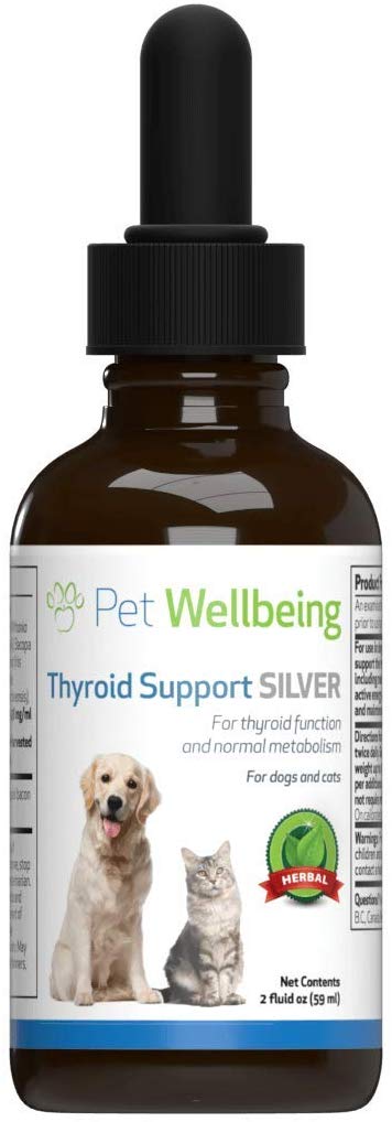 Pet Wellbeing - Thyroid Support Silver for Cats - Natural Support for Feline Thyroid and Healthy Metabolism - 2oz (59ml)