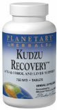 Planetary Herbals Kudzu Recovery 750 mg Tablets 120 tablets