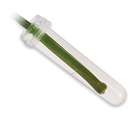 Floral Water Tubes/Vials For Flower Arrangements by Royal Imports, Clear - 3" (1/2" Opening) - Standard - 100/Pack - w/ Caps