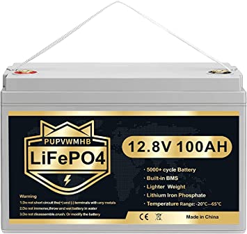 PUPVWMHB 12V 100Ah MINI LiFePO4 Lithium Battery, Bluetooth Lithium