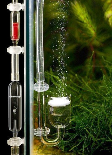 Straight Glass Tube Rhinox CO2 Bubble Counter - Helps Maintain Safe and Healthy CO2 Levels for Plants & Fish - Includes Free Check Valve - For CO2 Diffuser, Live Aquarium Plant Aquascaping C02 System