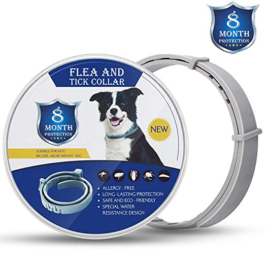 Flea and Tick Collar for Large and Small Dogs Hypoallergenic and Waterproof Tick Prevention and Flea Control Dog Collar for 8 Months of Protection