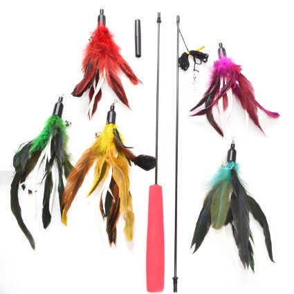 The Giddy Kitty 5 Pack Cat Feather Toy with Small Bells and Extra Long Wand with Red Handle - Best Teaser for Exercising Kitten or Cats