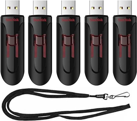 SanDisk 16GB (5 Pack) Cruzer Glide USB 3.0 Flash Drive SDCZ600-016G-B35 Bundle with (1) GoRAM Black Lanyard (16GB, 5 Pack)