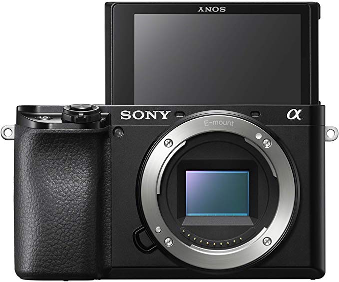 Sony Alpha A6100 Mirrorless Camera