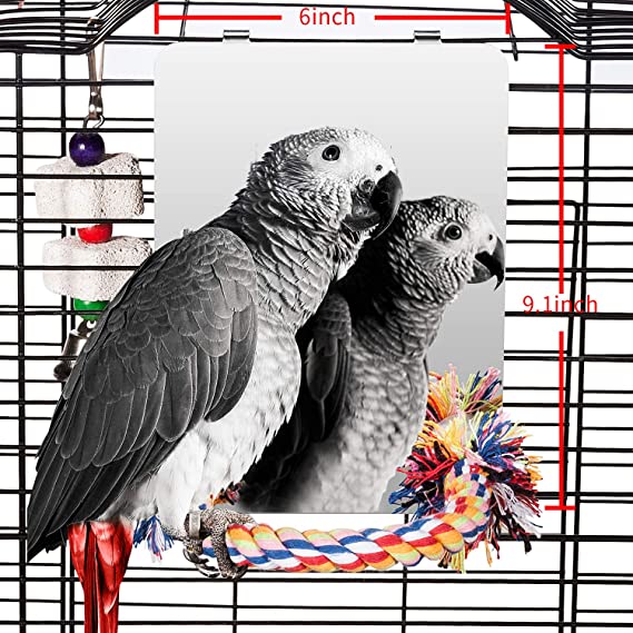 Colorday Large Stainless Steel Bird Mirror with Rope Perch, Bird Toys Swing, Comfy Perch for Greys Amazons Parakeet Cockatiel Conure Lovebirds Finch Canaries