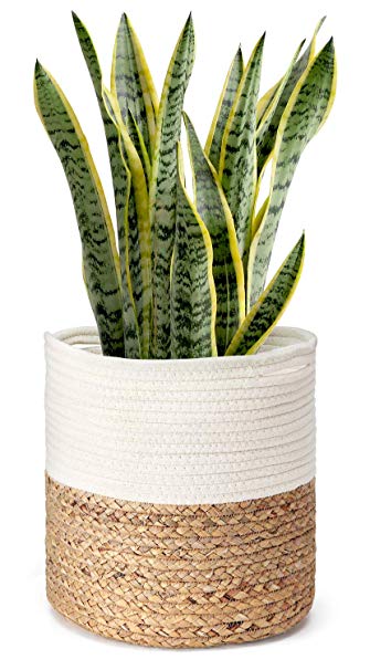 Mkono Cotton Rope Plant Basket with Water Hyacinth Modern Indoor Planter Up to 10 Inch Pot Woven Storage Organizer with Handles Home Decor, 11" x 11"