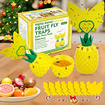 Fruit Fly Trap for Indoors, Effective Fly Catcher Gnat Trap Fruit Fly Killer with Yellow Sticky Traps, Gnat Trap with Bait for Indoor Outdoor, Safe Non-Toxic Fly Trap for Dining Room/Home (2 Pack)