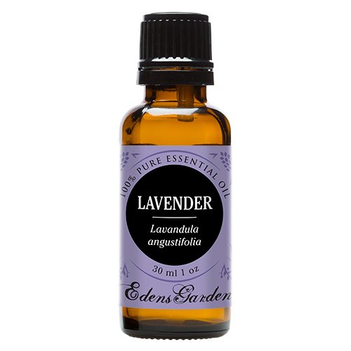 Lavender 100 Pure Undiluted Therapeutic Grade Essential Oil by Edens Garden- 30 ml