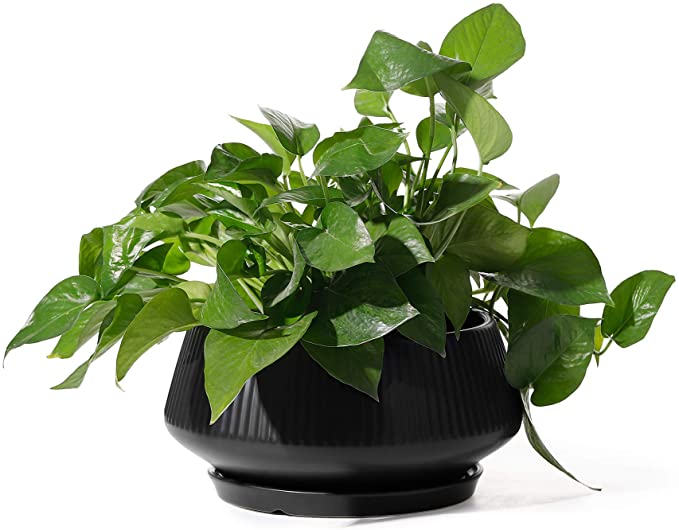 Large Plant Pots - POTEY 8.8 Inch Outdoor/Indoor Ceramic Plant Pots with Drainage Holes and Plugs for House Plants, Scindapsus Aureum and Ivy Vine - 805, Black