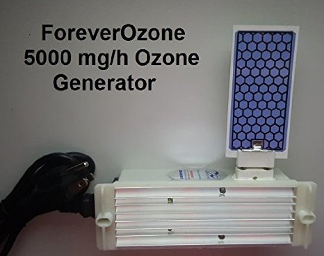 Bare Bones Ozone Generator