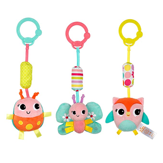 Bright Starts Chime Along Friends Take-Along Toys--Characters May Vary, Each Sold Separately