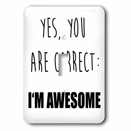 Carsten Reisinger - Illustrations - Yes you are correct, I am awesome. - Light Switch Covers - single toggle switch (lsp_237359_1)